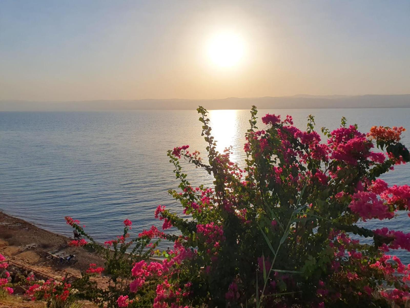 Comfy Stays Sea View Apartments At Deadsea Samarah Resort Sweimeh Dış mekan fotoğraf